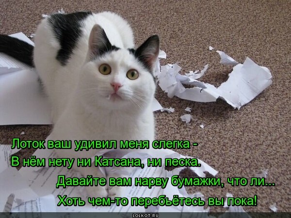 Горшковый дизайнер