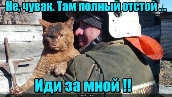 Путевыводитель
