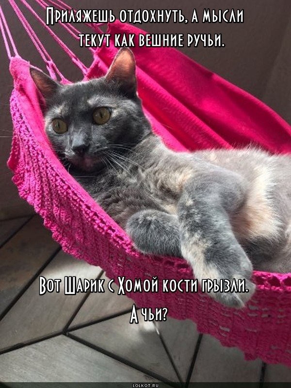 Полноводные мысли