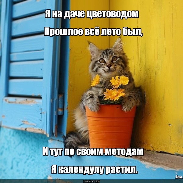 Дачный календуловод