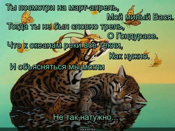Сезонное общение