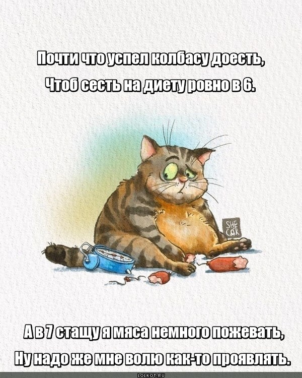 Кактопроявитель воли