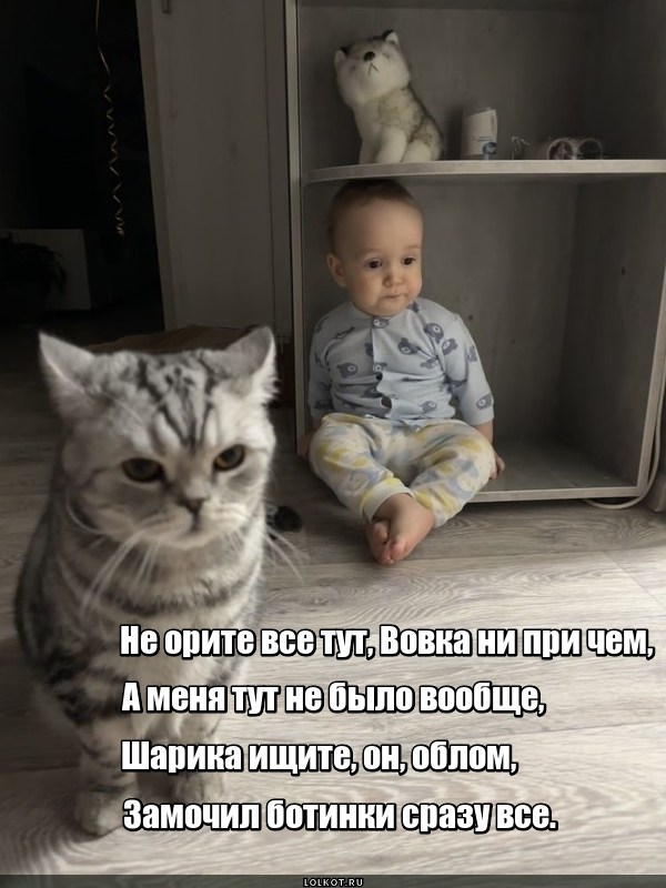 Полный облом