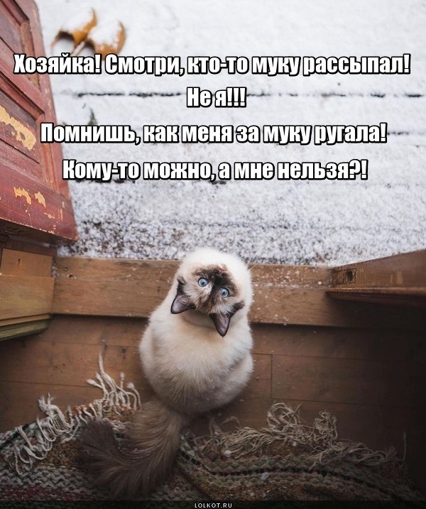 Предмет ругания