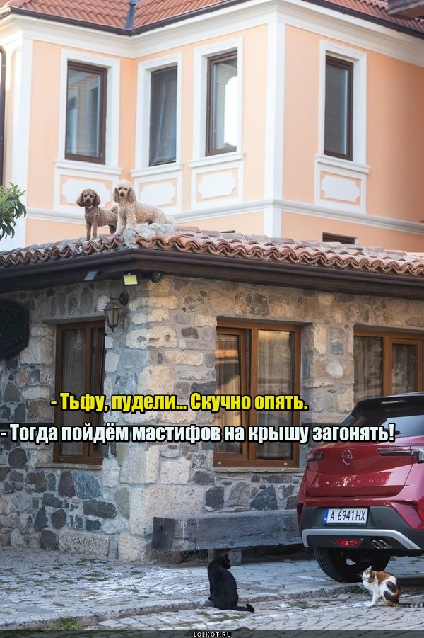 Мелкие забавы