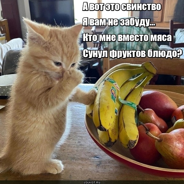 Незабываемое свинство
