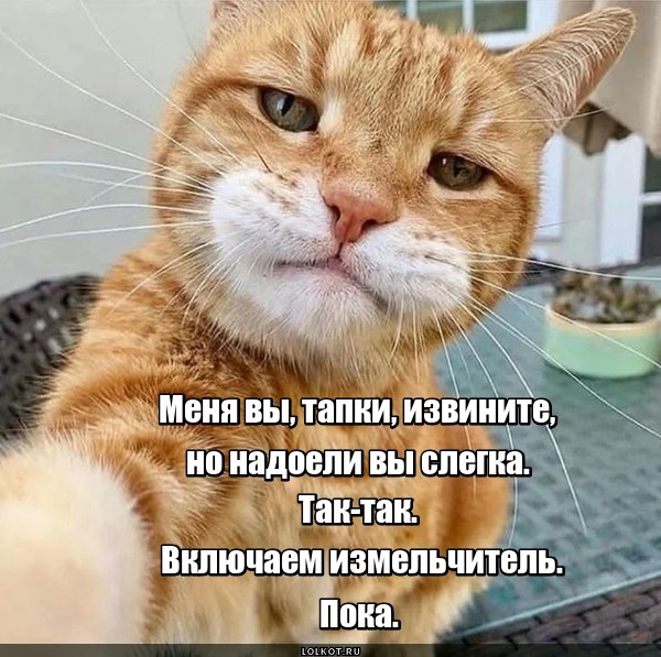 Тапковый роллтон