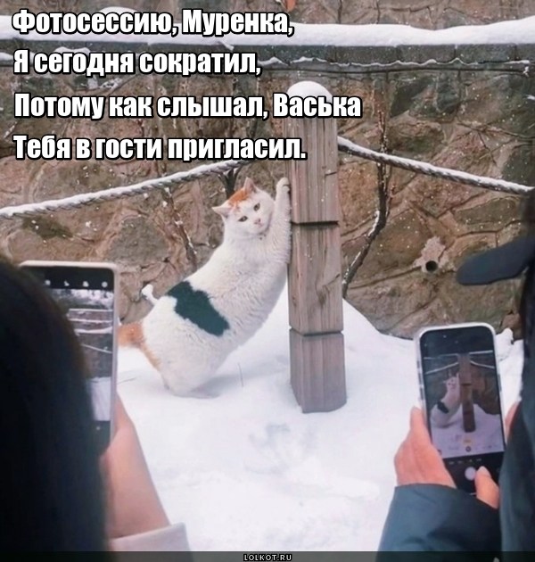 Веская причина