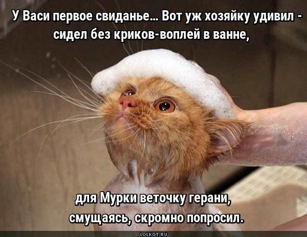 Всесторонняя подготовка