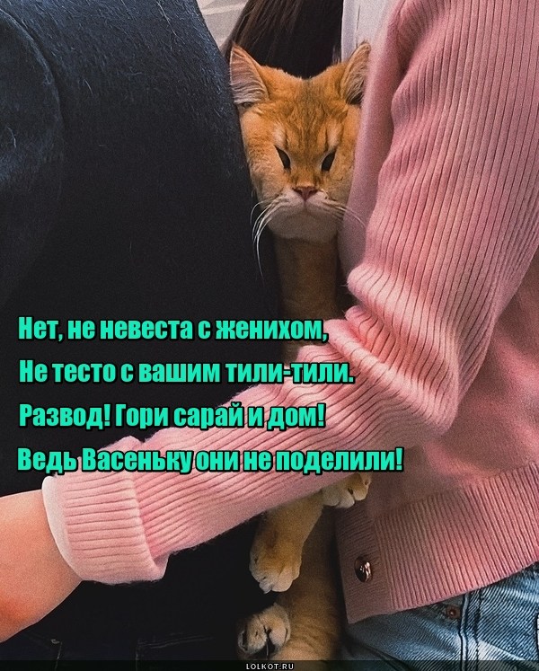 Бесценное и неделимое