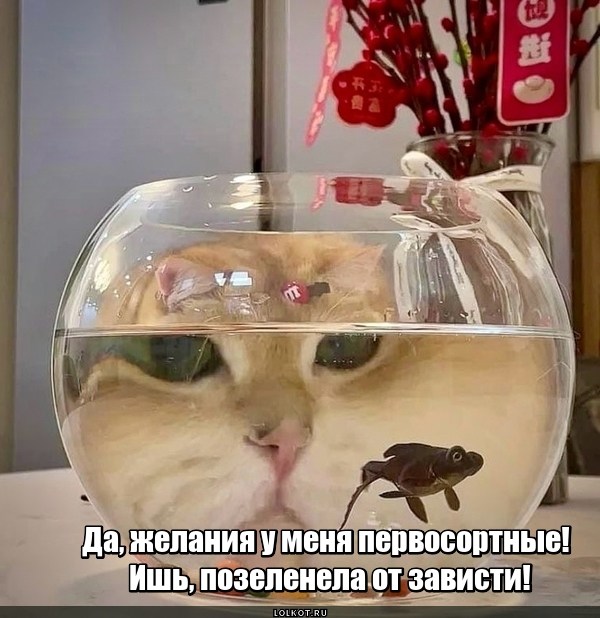 Первосортная зеленюшка