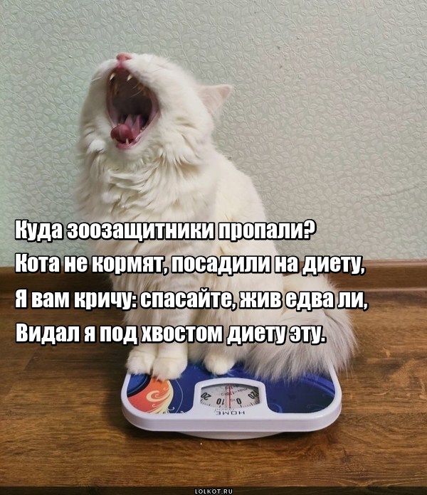 Подхвостная диета