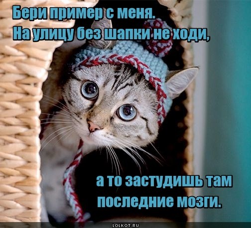 Примерная советчица