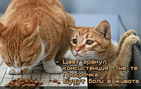 Визуальный определятель