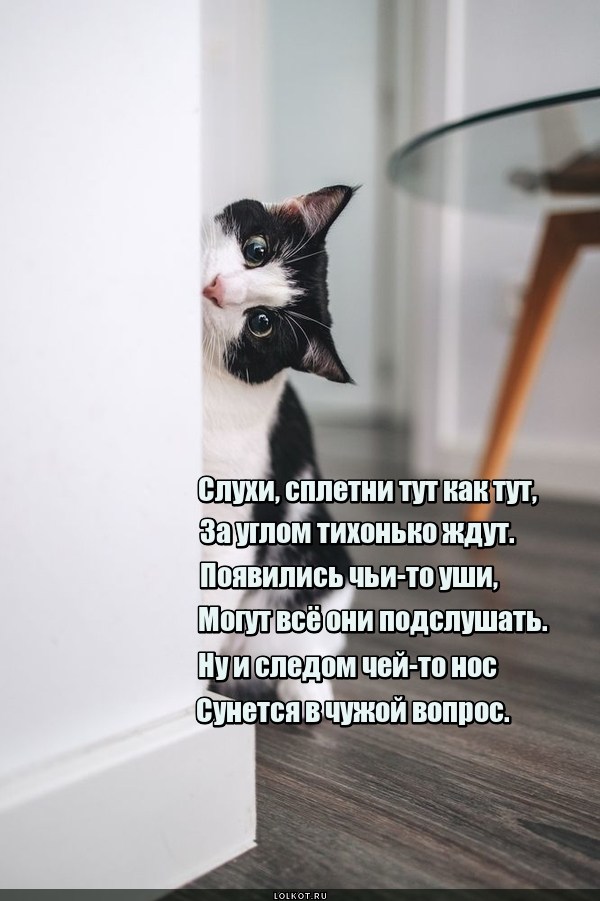 Заугольная сплетница