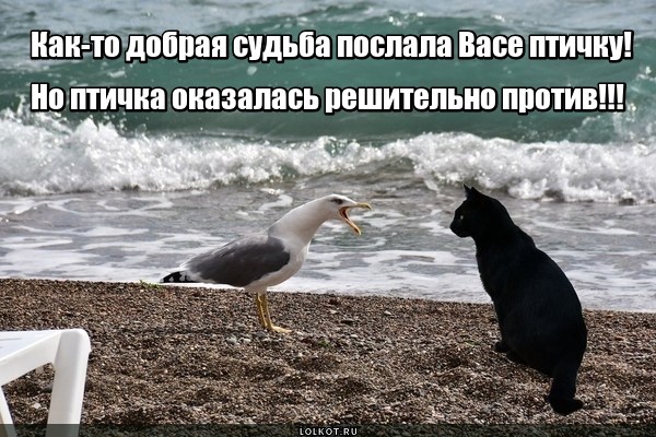 Недобрый посланник