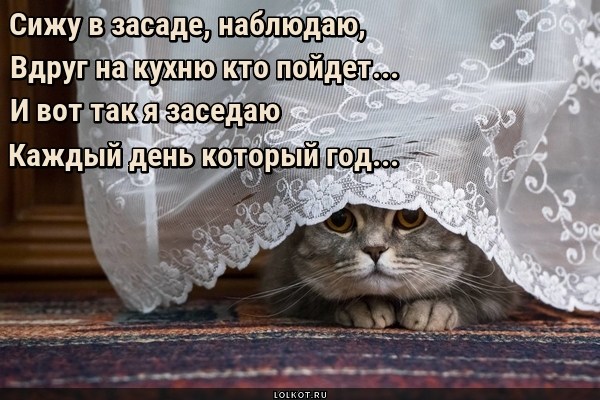 Околокухонный заседатель