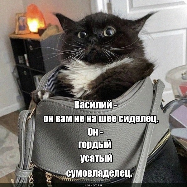 Сумосиделец