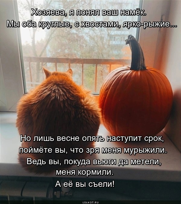 Ярко-рыжий намек