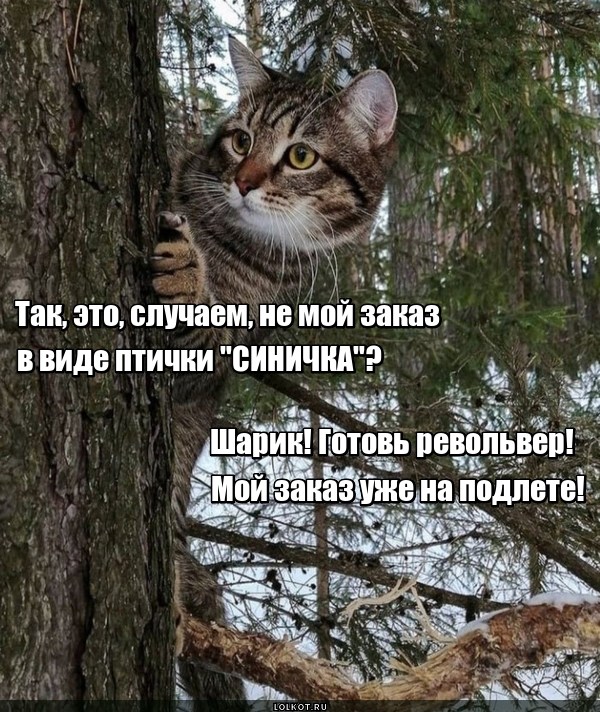 Заказная мишенька