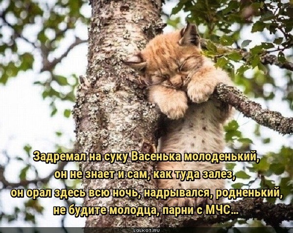 Непрерванный сон