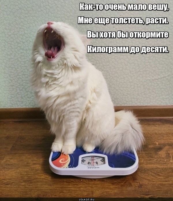 Толстетельный допуск