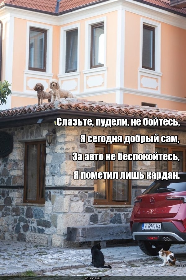 Удачный момент