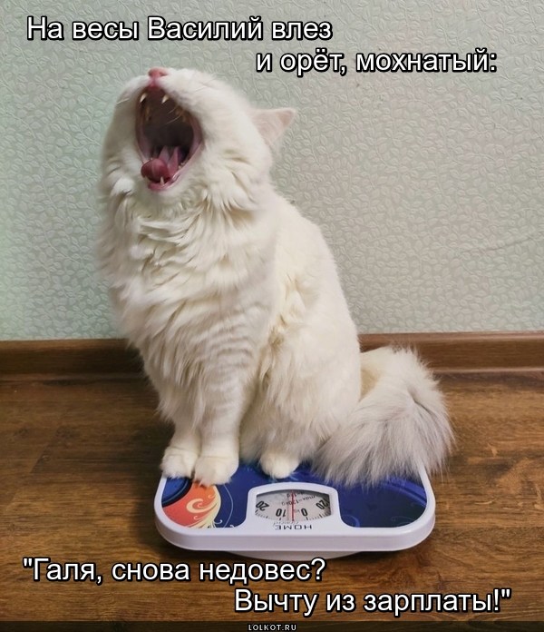 Весомый ор