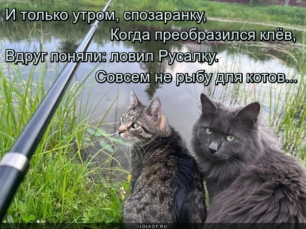 Ловец невероятности