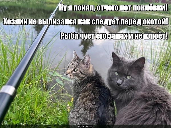 Неароматная приманка