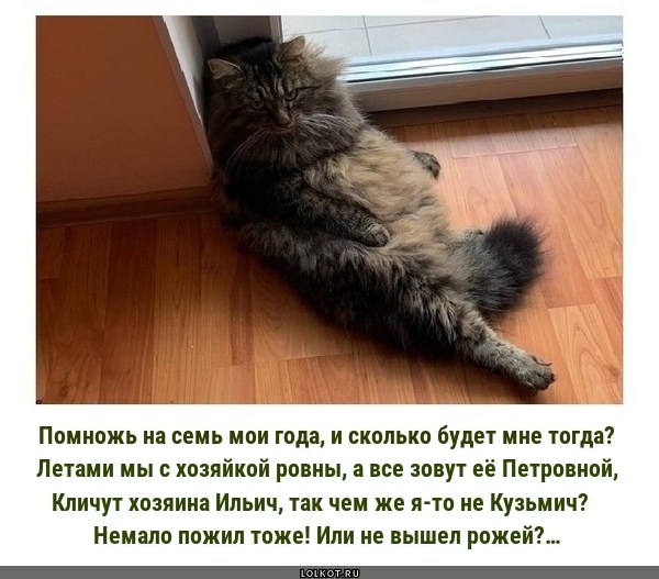 Неуважительное обращение