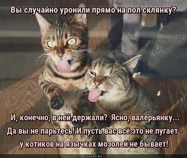 Случайные мозольки