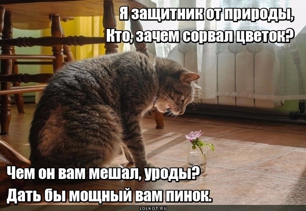 Защитный пинок