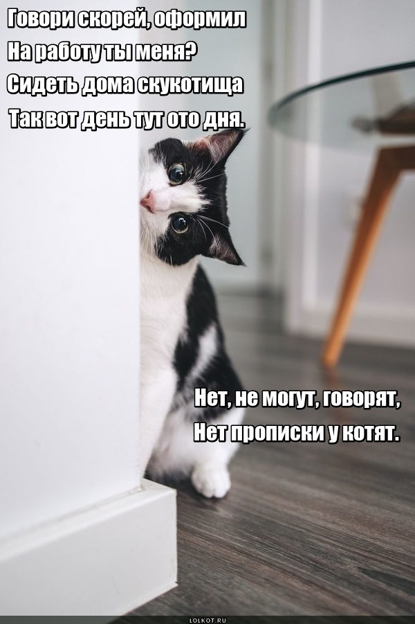 Незарегистрированный безработный