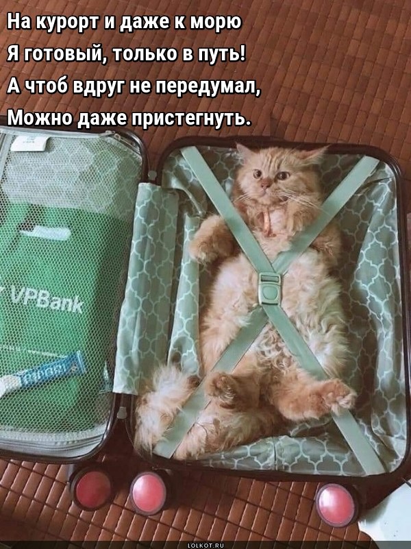 Перепродуманный отдых
